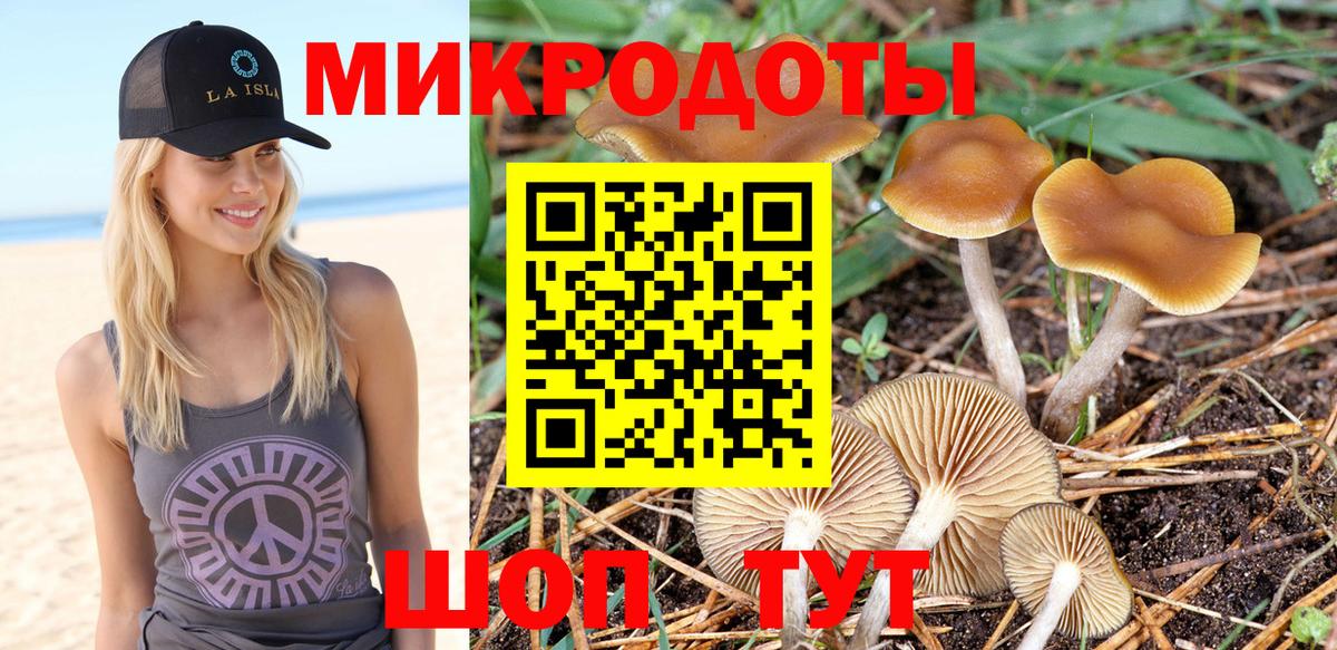 Псилоцибиновые грибы Cubensis  Галлюциногенные грибы мицелий  Вход с VPN  Сосновый Бор 