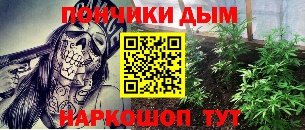 Каннабис White Widow  Вход с VPN  Бошки марихуана Ganja  Сосновый Бор  Марихуана Amnesia 